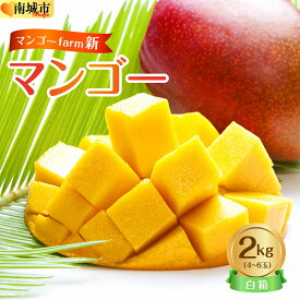 【ふるさと納税】【マンゴーfarm新】 沖縄県南城市産マンゴー白箱2kg