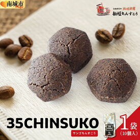 【ふるさと納税】35CHINSUKO（10個入り） I ちんすこう チンスコウ 沖縄土産 焼き菓子 お菓子 10個入り 沖縄県 南城市
