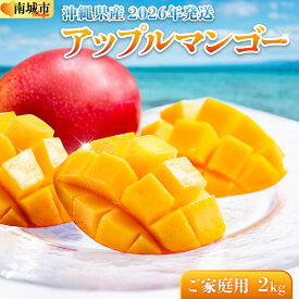 【ふるさと納税】【先行予約・数量限定】＜選べる等級・容量＞アップルマンゴー 1kg～2kg I アップルマンゴー あっぷるまんごー マンゴー まんごー トロピカルフルーツ フルーツ 完熟 マンゴー 限定 秀品 良品 家庭用 訳あり 選べる 1000g 1kg 2000g 2kg 沖縄県 南城市
