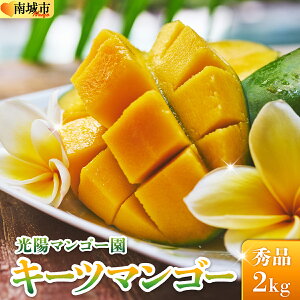 yӂ邳Ɣ[Łzys\EʌzIׂ铙EeʁL[c}S[ 1kg`2kg KM007-010