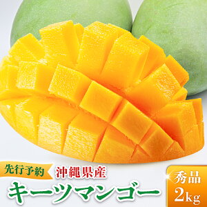 �y�ӂ邳�Ɣ[�Łz�y��s�\��E���ʌ���z���I�ׂ铙���E�e�ʁ��L�[�c�}���S�[ 1kg�`2kg KM007-010