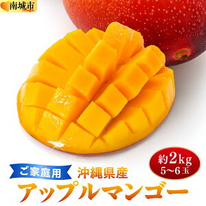 �y�ӂ邳�Ɣ[�Łz����s�\��E���ʌ��聄�y2026�N7����{�`���͂��z�t���[�c�K���_���̃A�b�v���}���S�[2kg�y�ƒ�p�zSN001