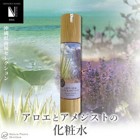 【ふるさと納税】【Nature Plants Skin Care】アロエとアメジストの化粧水 50ml | 天然素材 手作り スキンケア 美容 美 守本理恵 化粧水 天然 月桃 自然 メイクアップアーティスト メイク モデル 無添加 自然派 クリーム 美白 沖縄 海 オイル オーガニック