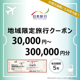 【ふるさと納税】沖縄県南城市　日本旅行　地域限定旅行クーポン30,000円分～300,000円分 I 宿泊 ホテル 旅行 沖縄旅行 リゾート 沖縄県 南城市