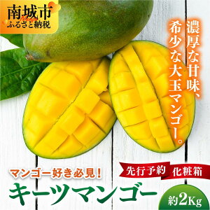 yӂ邳Ɣ[Łzys\z}S[DKIL[c}S[@2kg ϔ