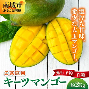 yӂ邳Ɣ[Łzys\zƒpL[c}S[@2kg. 