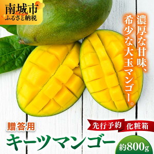 yӂ邳Ɣ[Łzys\zpL[c}S[@800g ϔ