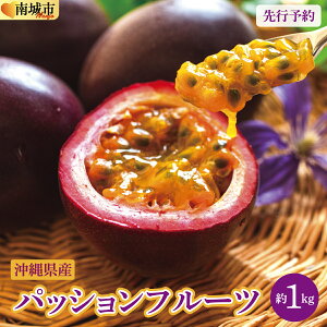 yӂ邳Ɣ[Łzys\z2026N5`6@sYpbVt[c@1kg