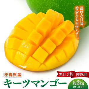 �y�ӂ邳�Ɣ[�Łz�y��s�\��z�}���S�[�D���K���I�L�[�c�}���S�[�@��2kg ���ϔ�