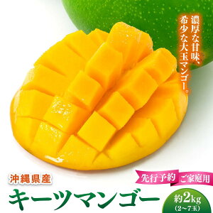 �y�ӂ邳�Ɣ[�Łz�y��s�\��z���ƒ�p�L�[�c�}���S�[�@��2kg. ����