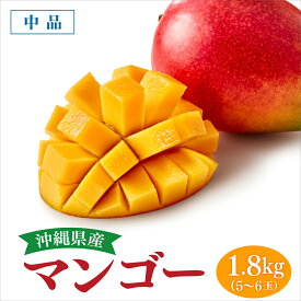 【ふるさと納税】アップルマンゴー中品 約1.8kg（5～6玉）化粧箱 I アップルマンゴー あっぷるまんごー マンゴー まんごー トロピカルフルーツ フルーツ ギフト 1800g 1.8kg 沖縄県 南城市