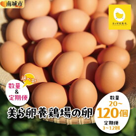 【ふるさと納税】【選べる内容量】【選べる配送種類】卵の黄身が掴めるほどの新鮮さ 美ら卵養鶏場の卵
