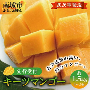 yӂ邳Ɣ[Łz(st)y2026NzL[c}S[ s 1.5kg (1`2)