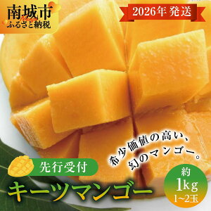yӂ邳Ɣ[Łz(st)y2026NzL[c}S[ s 1kg (1`2)