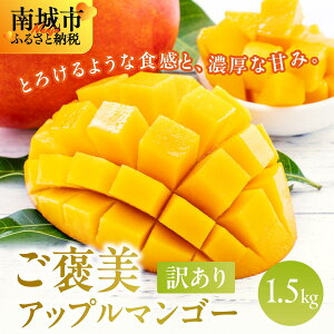 yӂ邳Ɣ[Łzy2026NEs\z󂠂sόC`IJAbv}S[@1.5kg
