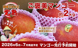 【ふるさと納税】【2026年発送・先行予約】ご家庭用ご褒美アップルマンゴー　2kg