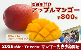 【ふるさと納税】【2026年発送・先行予約】＜贈答用向け＞アップルマンゴー　約800g（化粧箱） I アップルマンゴー あっぷるまんごー マンゴー まんごー トロピカルフルーツ フルーツ 完熟 ギフト 家庭用 800g 沖縄県 南城市