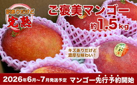 【ふるさと納税】【2026年発送・先行予約】訳あり南城市観光協会イチ推し！ご褒美アップルマンゴー　1.5kg