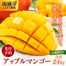【ふるさと納税】【先行予約】アップルマンゴー24kg　2回に分けて発送 I アップルマンゴー あっぷるまんごー マンゴー まんごー トロピカルフルーツ フルーツ 完熟 家庭用 24000g 24kg 沖縄県 南城市