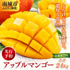 yӂ邳Ɣ[Łzys\zAbv}S[24kg@2ɕĔ