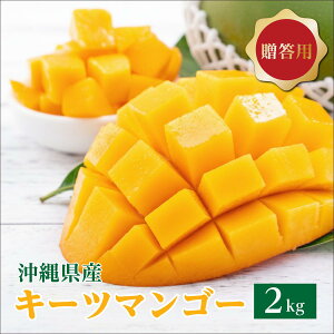 �y�ӂ邳�Ɣ[�Łz���I�ׂ遄�L�[�c�}���S�[1kg/2kg �����p