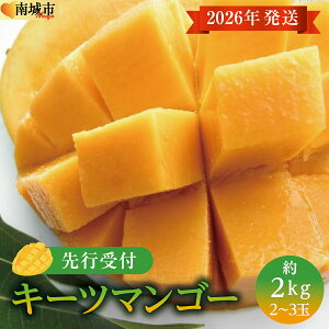 yӂ邳Ɣ[Łz(st)y2026NzL[c}S[ s 2kg (2`3)