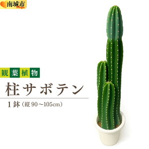 yӂ邳Ɣ[ŁzT{e