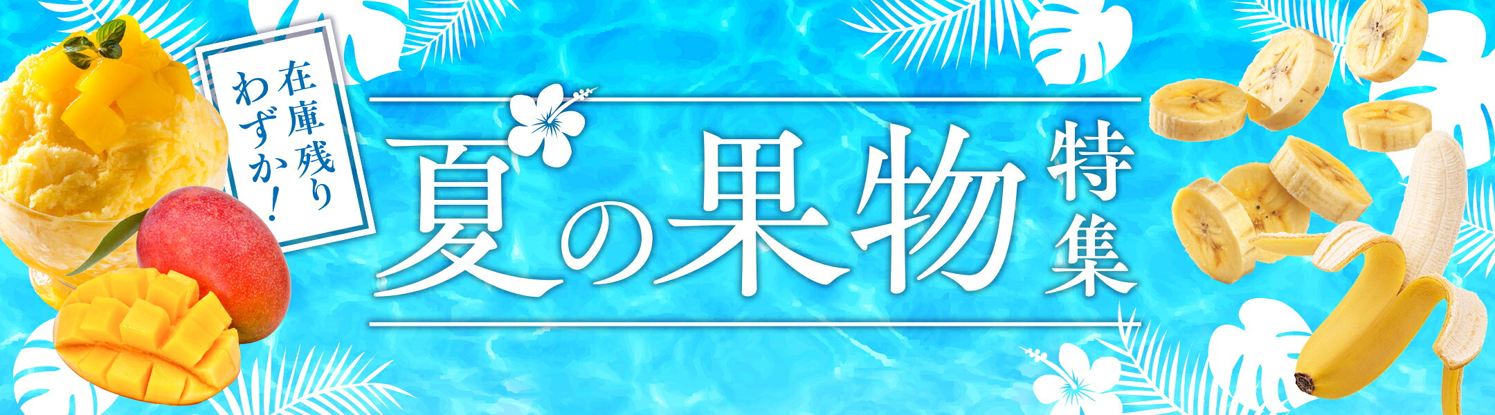 在庫残りわずか！夏の果物特集