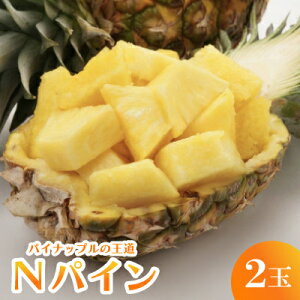 yӂ邳Ɣ[Łzy2026N7珇zpCibv̉ NpC2ʁyzsnFzy1577568z