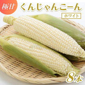 【ふるさと納税】【2026年4～5月頃順次発送】春獲れ一番!極甘くんじゃんこーん ホワイト 8本 とうもろこし【配送不可地域：離島】【1578629】