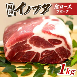 yӂ邳Ɣ[ŁzCmu^ [X(ubN) 1kgyzsnFzy1578855z