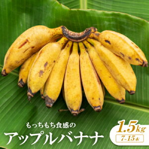 yӂ邳Ɣ[ŁzH̃Abvoii1.5kg(7`15{)y1579241z