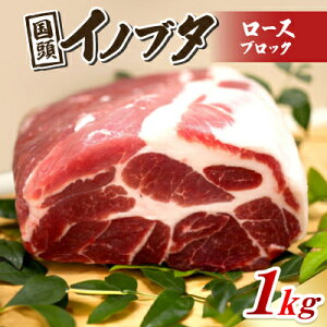 yӂ邳Ɣ[ŁzCmu^ [X(ubN) 1kgyzsnFzy1580290z