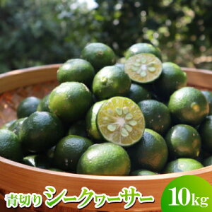 yӂ邳Ɣ[Łzy2025N9`10̔z䂢䂢I؂V[N[T[10kgy1584611z