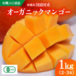 yӂ邳Ɣ[Łzy2026N7{珇EL@JASF؁zI[KjbN}S[1kg(2`3)yzsnFzy1589195z