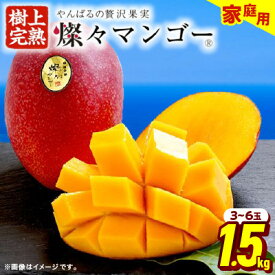 【ふるさと納税】燦々マンゴー 1.5kg(3～6玉)～_ マンゴー アップルマンゴー アーウィンマンゴー 訳あり 沖縄 家庭用 自宅用 規格外 果物 くだもの 完熟 南国 フルーツ デザート 甘い 期間限定 数量限定 沖縄県産 農家直送 産直 産地直送 送料無料 【G1619685】