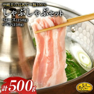 yӂ邳Ɣ[Łz瓇[ [X250g o250g ԂԃZbgv500gyzsnFzy1620065z