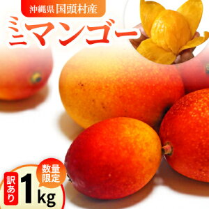 yӂ邳Ɣ[Łzy2026N6珇zʌ̖󂠂~j}S[1kgyzsnFzy1634008z