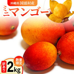 yӂ邳Ɣ[Łzy2026N6珇zʌ̖󂠂~j}S[2kgyzsnFzy1634015z