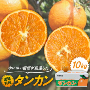 yӂ邳Ɣ[Łzy2026N1珇z䂢䂢IY^J10kgy1651882z
