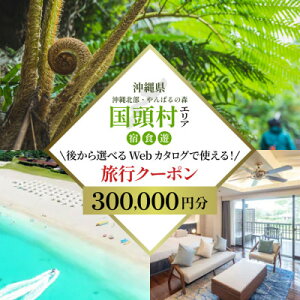 yӂ邳Ɣ[ŁzcA[ {Ŗk΂鍑 ォIׂWebJ^OsN[|(300,000~)y1684165z