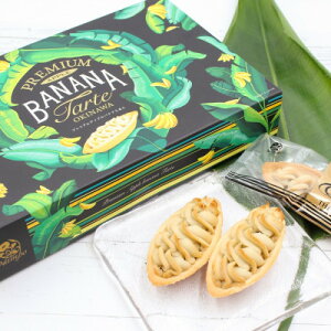 yӂ邳Ɣ[ŁzyYAbvoiigpzv~AAbvoii v20(10×2)y1692458z