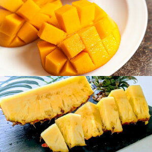 yӂ邳Ɣ[ŁzyŒցz2t[cZbg Abv}S[&pCibvS2yzsnFzy4078648z