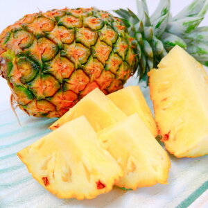 yӂ邳Ɣ[ŁzyŒցzYpCibv3Zbg(S[hoEXibNpCENpC)S3yzsnFzy4078649z