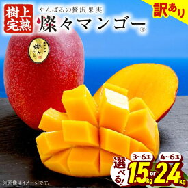 【ふるさと納税】【2026年7月から順次発送・訳あり】燦々マンゴー 1.5kg(3～6玉)/2.4kg(4～6玉)_アップルマンゴー アーウィンマンゴー 沖縄 家庭用 規格外 贈答用 ギフト 果物 完熟 南国 フルーツ 期間限定 数量限定 沖縄県産 農家直送【配送不可地域：離島】【G1619685】