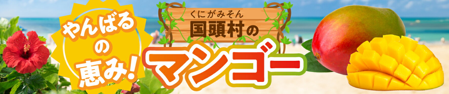 ふるさと納税 マンゴー