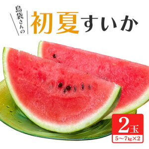 yӂ邳Ɣ[Łzs\񓇑܂̏ăXCJ Iׂ1ʁ`2(15`7kg)y2026N6{珇zyzsnFzyG1577669z