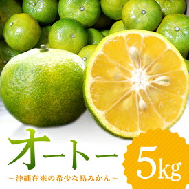 【ふるさと納税】【12月発送】やんばる国頭村産　希少な島みかん「オートー」5kg 希少 ミカン 蜜柑 フルーツ 果物 柑橘 沖縄 国頭村