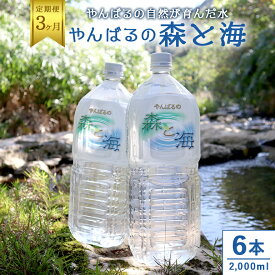 【ふるさと納税】 【3ヶ月定期便】 やんばるの水 森と海 2L 6本 2000ml ソフトドリンク 飲料水 ミネラルウォーター 防災 キャンプ アウトドア 送料無料 軟水 3回 3か月