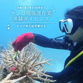 【ふるさと納税】 ダイビング体験チケット （ライセンス保持者限定） サンゴ養殖プロジェクト 保護作業ダイビング 珊瑚 体験 旅行 観光 沖縄 スキューバダイビング マリンレジャー 海